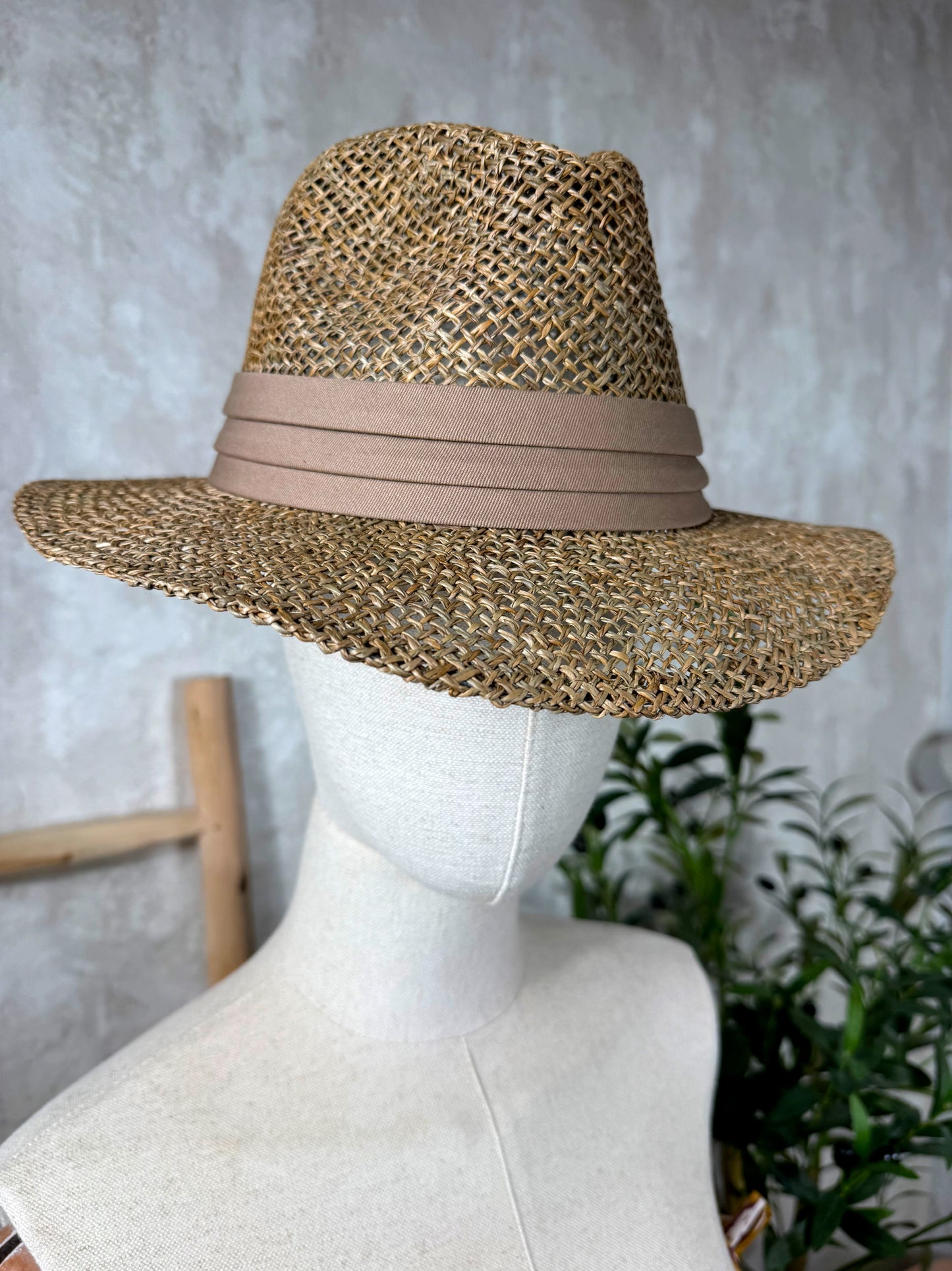 Sombrero