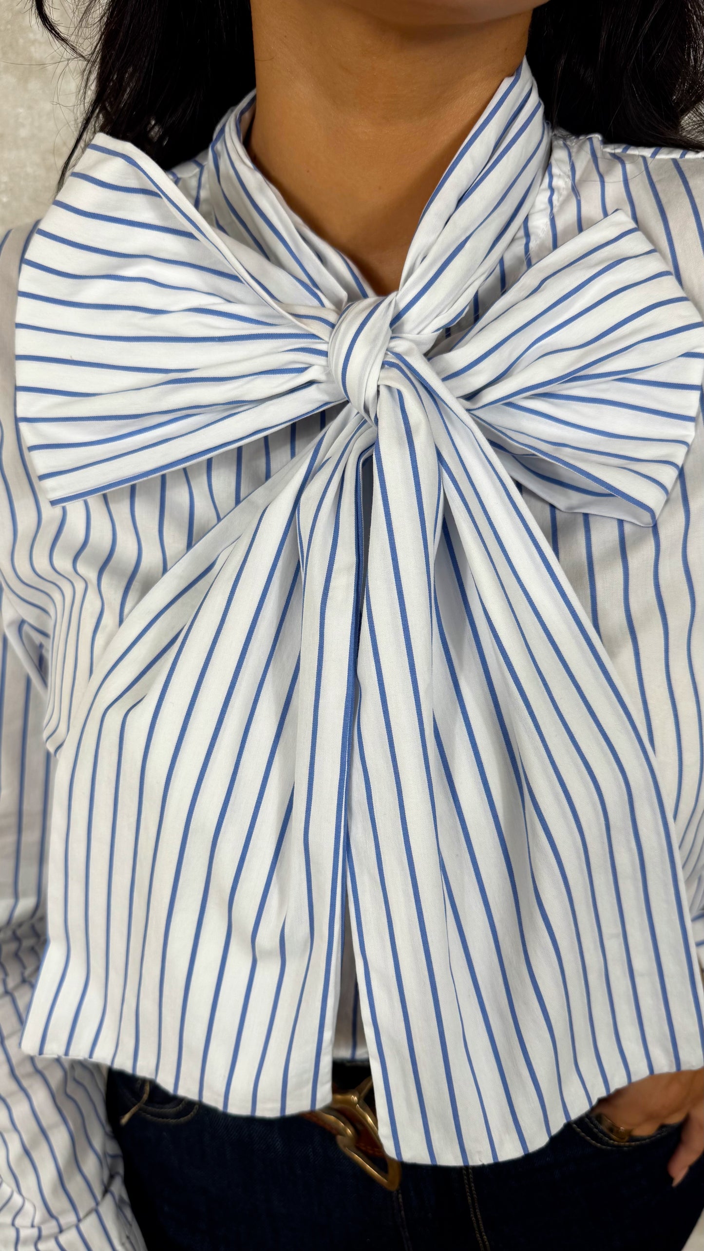 Blusa diplomática