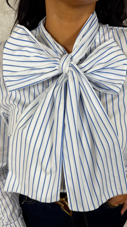 Blusa diplomática