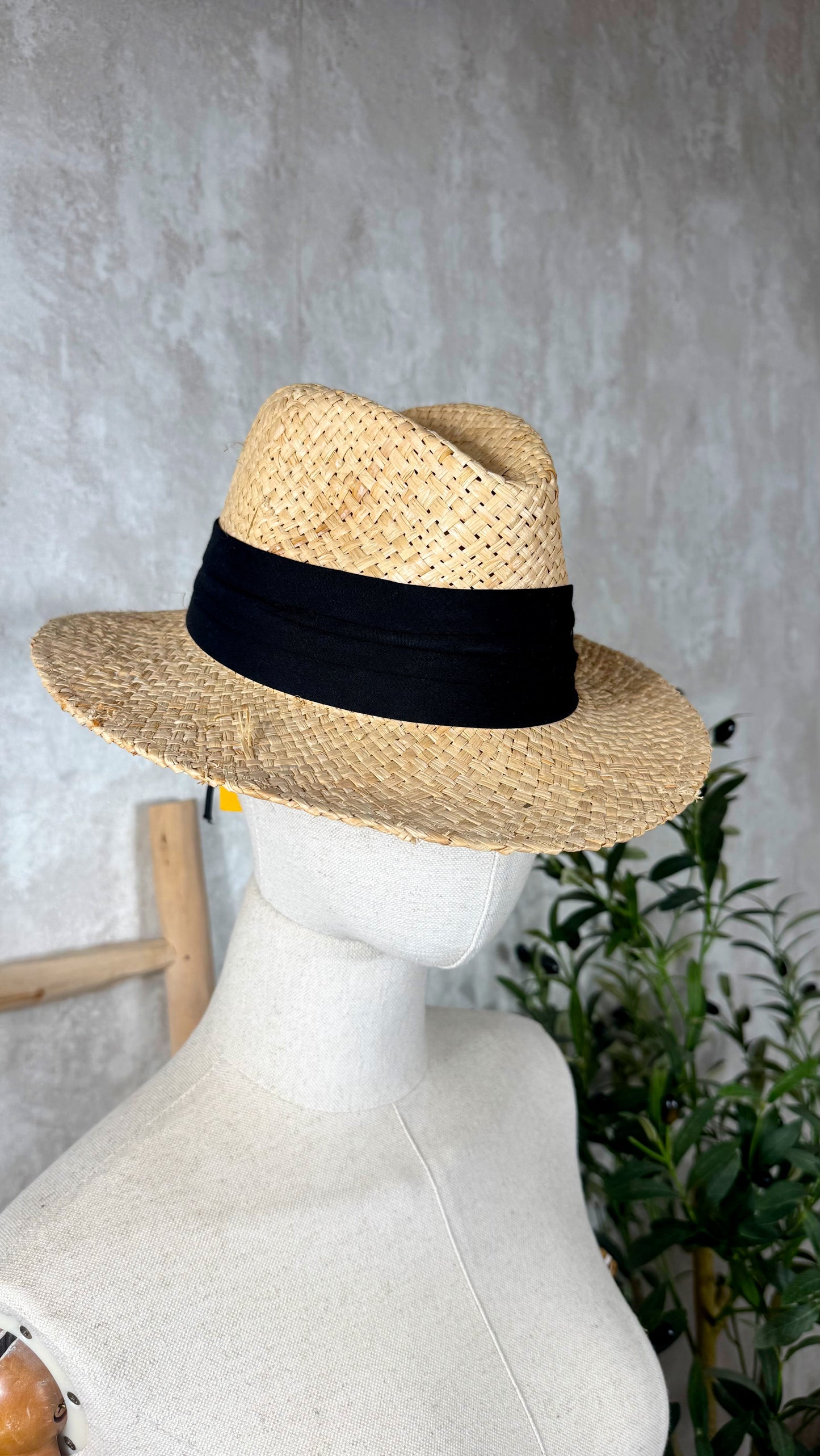 Sombrero
