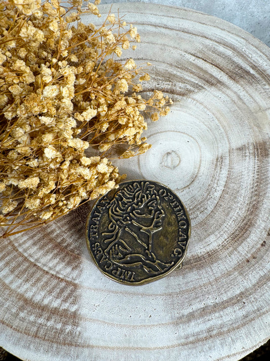 Hebilla moneda